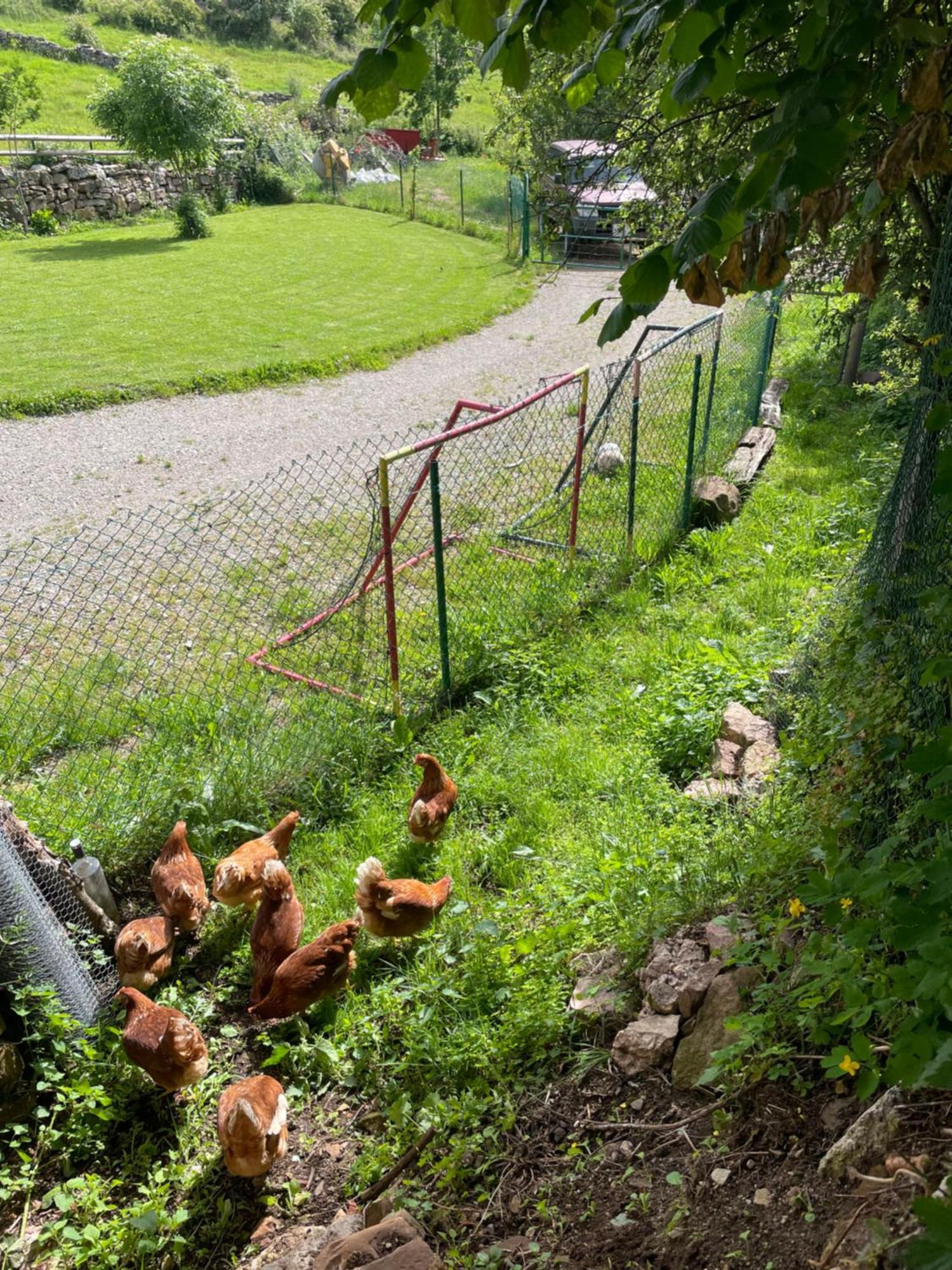 Los Chozos De La Brana Branosera Exterior photo